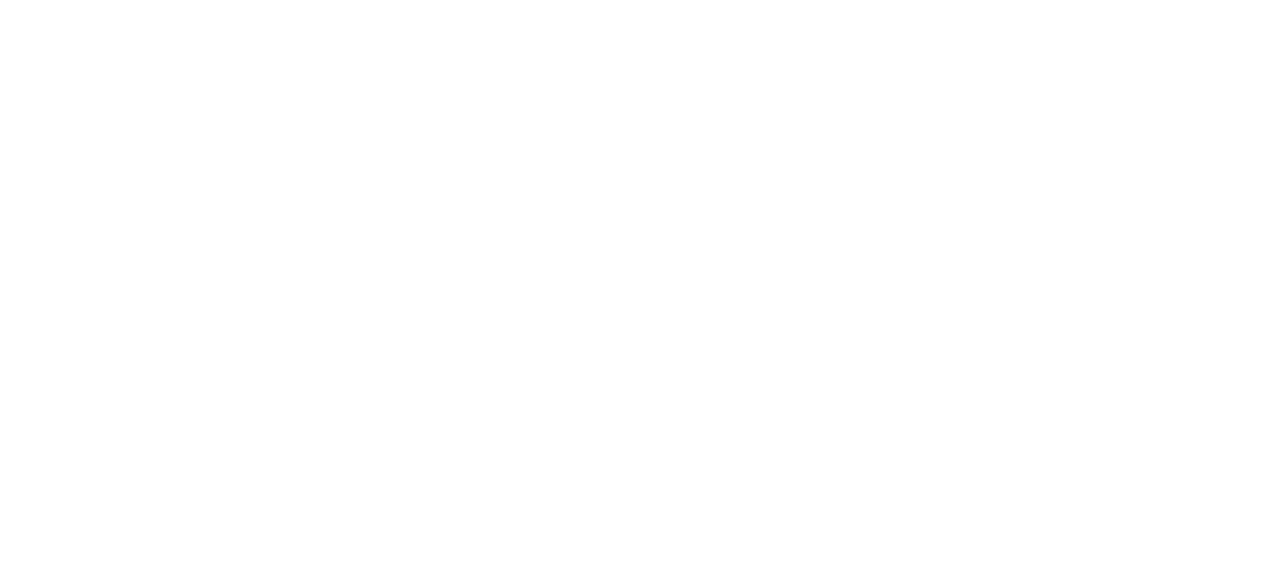 Arianne Araújo Psicanalista